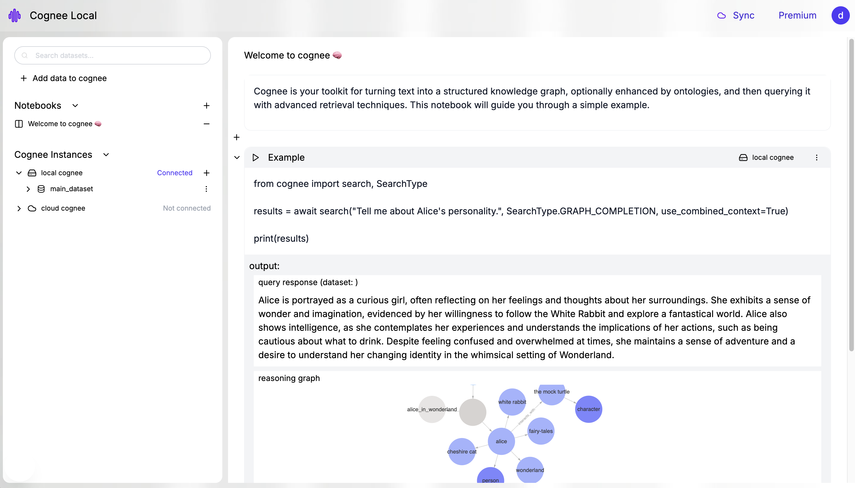 Cognee Local UI
