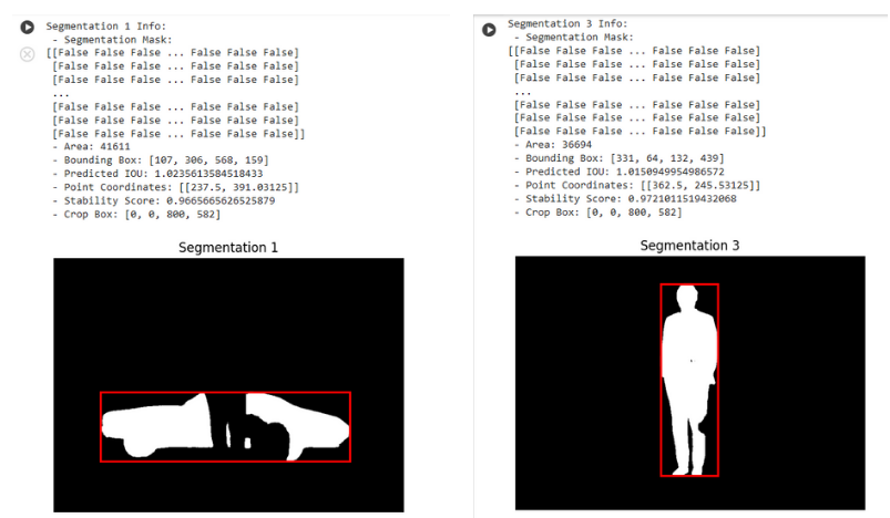 Segmentation Masks